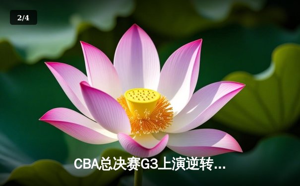CBA总决赛G3上演逆转奇迹！辽宁本钢加时苦战力克浙江广厦夺赛点 - 2